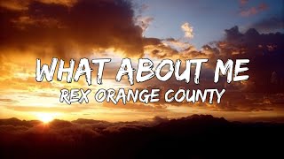 Rex Orange County What About Me Lyrics Television So Far So Good