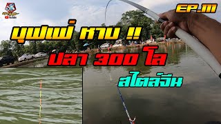 ตกปลาชิงหลิว บุฟเฟ่หาบ!! ปลา 300 โล (เทสกล้องซูมตัวใหม่) EP.111