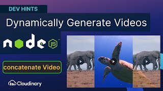 Dynamically Generate Videos in Node.js with Cloudinary - Dev Hint