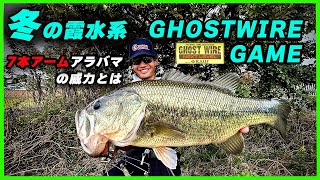 (バス釣り)ハナタロウによる真冬の霞ヶ浦水系アラバマゲーム！