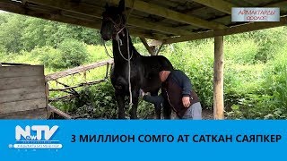 3 МИЛЛИОН СОМГО АТ САТКАН САЯПКЕР \\\\ АЙМАКТАРДЫ АРАЛАП