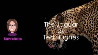 The Jaguar by Ted Hughes (detailed analysis)