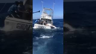 Blue Marlin Battle