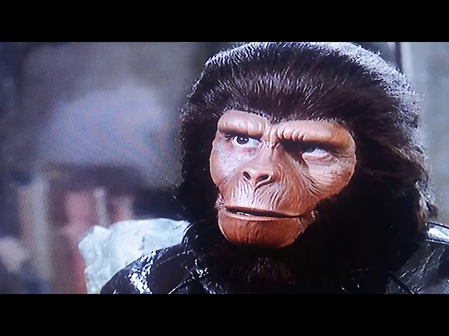 Dr Zaius Apenes Planet