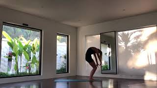 budokon inspired evening flow