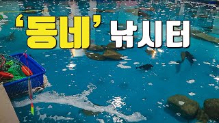 [다리tv] 못잡으면 회가 공짜!!! 다 잡히는 동네 낚시터!!!