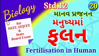 Biology :: Std.12, Ch.2, Lecture-20 || મનુષ્યમાં ફલન | Fertilisation in Human