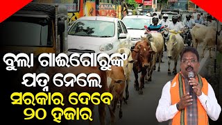 The Government Is Arranging Cow-Shed For The Homeless Bull And Cows: Gokulananda Mallik