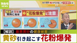 【黄砂の健康被害】アレルギー専門家が警鐘…花粉引き起こす『爆発気管支炎』「ぜんそく悪化」「マスクは完全ではない」(2023年4月12日)