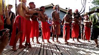 Proses ritual adat Dayak  cuci tengkorak #tadan #ritual #cucitengkorak #dayak #bengkayang #bengkawan