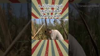 காட்டில் இருந்து தப்பிக்க வழிகள்