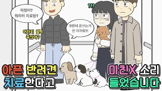 [사이다툰] 아픈 반려동물 치료한다고 미친X소리 들었습니다ㅣ코기툰ㅣ영상툰ㅣ썰툰ㅣ사연툰ㅣ고민툰ㅣ개그썰ㅣ일상툰