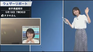 虫さん愛ずる姫君【戸北美月】2022年5月18日