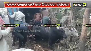 Cow Smuggling Pick-up Van Met An Accident In Bhadrak