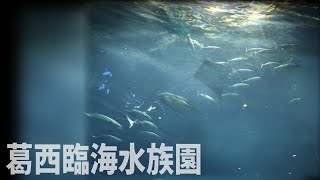 写真部で葛西臨海水族園行ってきた