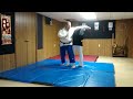 american shaolin chang quan dragon coils tail