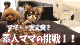 犬の洋服ハンドメイドに挑戦！トイプードルとチワワの洋服作り