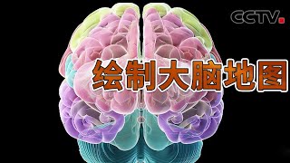 铁棍贯穿大脑为何会导致性格巨变？神秘的颅相学又是否真能摸骨识人？20241103 绘制大脑地图 | CCTV科教《解码科技史》