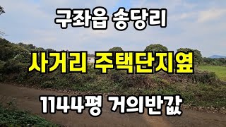 제주시 구좌읍 송당리 사거리 주택단지옆 1144평 거의반값 010 4436 0401 제주도부동산 토지 매매 급매물