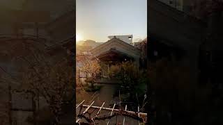 秩父札所13番慈眼寺　朝の観音堂　この時間に太陽が昇るようになった　移ろう時に任せて生きる