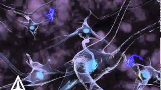 How Neurotransmission & brain signals work - 3D animation
