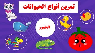 تمرين أنواع الحيوانات - فئات الحيوانات - تعليم الحيوانات للأطفال - أسماء الحيوانات - ألعاب الذاكرة