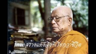 5109 (04) โครงสร้างแห่งสิ่งที่เรียกว่าชีวิต