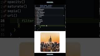 画像のホバー表現【HTML CSS コーディング】 #shorts