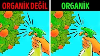 Organik Gıda: Sağlıklı Mı Yoksa Büyük Bir Efsane Mi?