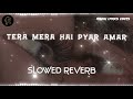 Tera Mera Hai Pyar Amar ❤️ [ SLOWED REVERB ] // New Song : @rishu_ediits