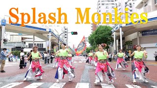 【４K】Splash Monkies★湘南よさこい祭り/パレード会場/2回目/2024.06.02/LumixS5Ⅱ