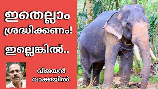 ഇതെല്ലാം ശ്രദ്ധിക്കണം! ഇല്ലെങ്കിൽ.. | Elephant Frames | Vijayan Vakkayil