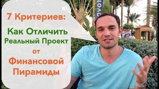 7 Критериев: Как Отличить Реальный Проект от Финансовой Пирамиды / Юрий Гава