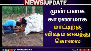 NEWS QUE Tamil | VEDASANDUR NEWS | DINDIGUL DISTRICT NEWS| BREAKING NEWS