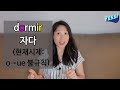 고급문장 dÍa 41 단순 과거 불규칙 ④ ┃pedir mentir dormir ┃나의 하루 한줄 스페인어┃스페인어 회화┃스페인어공부