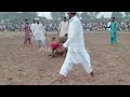 asif pehlwan mochi vs adnan pehlwan terawala mela dangal newkusti msifmochi