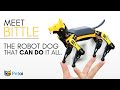 Meet Bittle Robotic Dog | The Open Source Robot Dog That Can Do It All | Petoi