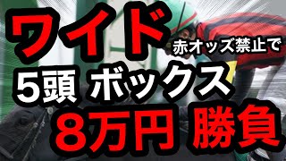 【馬券勝負】赤オッズ禁止で、ワイド5頭ボックス、合計8万円の大勝負