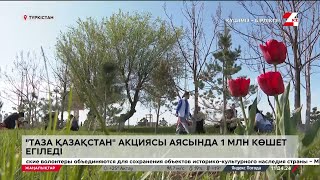 «Таза Қазақстан». Түркістанда 1 млн көшет егіледі