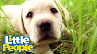 Songs for Kids - Little People | Puppy Song 🎵 Kids Songs 🎵