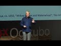 The Secrets of Things | Alex Kerr | TEDxOgikubo