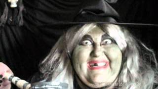 OldBittyGrandma - CHARTREUSE! The Green, Eco-Friendly Halloween Witch - fiverr