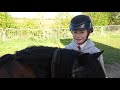 new show pony show vlog at bsps winter championships