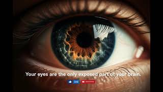 🤯 Your EYES Are LITERALLY Exposed BRAIN!