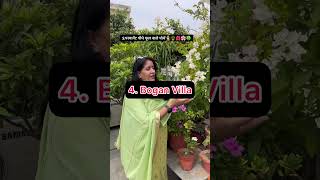 5:परमानेंट पौधे फूल वाले पोधें👩🏻‍🌾🪴🌺🌸🍀 #shortvideo #gardening #mygarden #delhi#gardeninglover