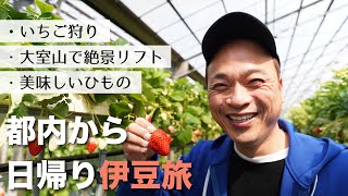 【伊豆日帰り旅行】東京からゆるりと伊東へ。/いちご狩り/大室山リフト/天日干しひもの