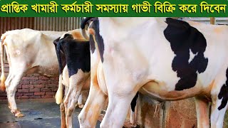 প্রান্তিক খামারী কর্মচারী সমস্যায় কিছু গাভী বকনা বিক্রি করে দিবেন dairy farm