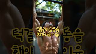 턱걸이 운동을 해야하는 이유ㅣshorts