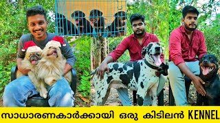 സാധരണകാർക്കായി കുറഞ്ഞ നിരക്കിൽ നല്ല Dogs ഇവിടെയുണ്ട്! |Dog Farm Malayalam | Great Dane | Pekingese |