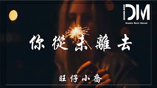 你從未離去 - 旺仔小喬『原來你從未離去，默默守護在這裏』【動態歌詞】